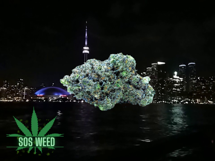 Pink Death AAAA Indica