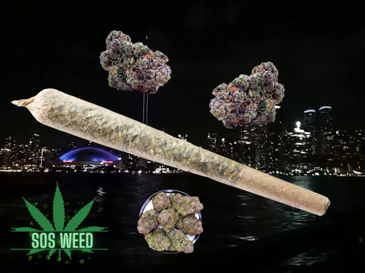 Pink Kush King Size Pre-Roll – Indica (AAAA)