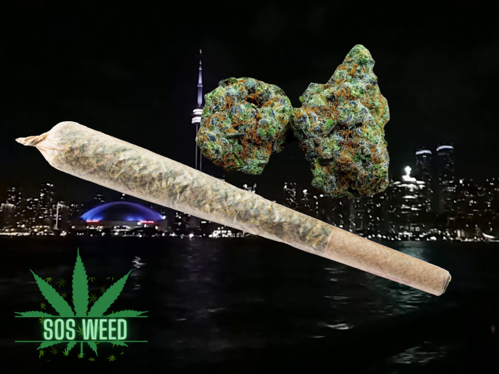 Duke Nukem King Size Pre-Roll – Sativa (AAAA)
