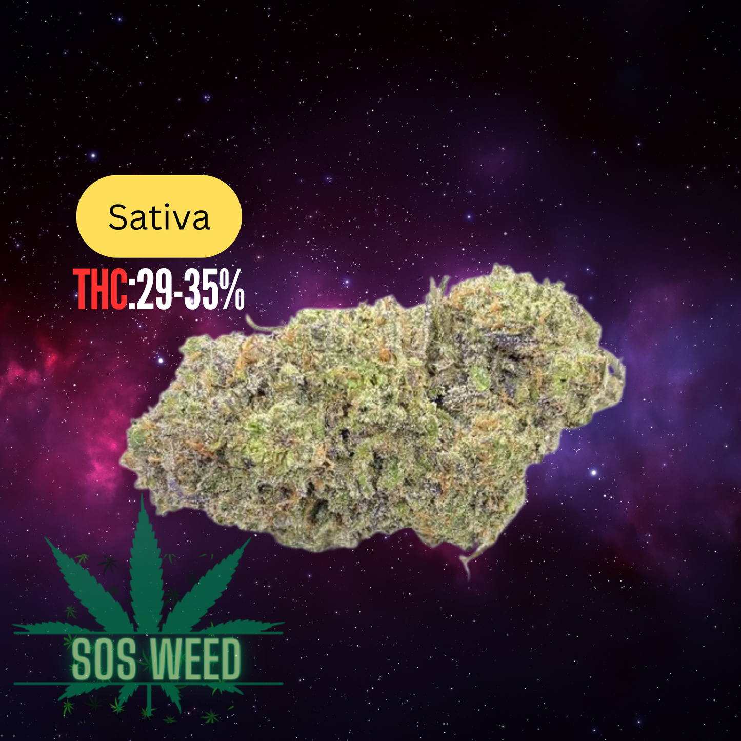 Blue Hawai AAAA Sativa